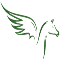 Pegasus Marketing Services logo, Pegasus Marketing Services contact details