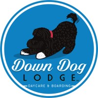 Down Dog Lodge LLC logo, Down Dog Lodge LLC contact details