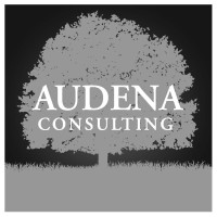 Audena Consulting logo, Audena Consulting contact details