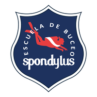 spondylusdc logo, spondylusdc contact details