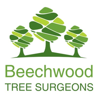 Beechwood Tree Surgeons Limited logo, Beechwood Tree Surgeons Limited contact details