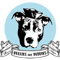 Bullies and Buddies Rescue logo, Bullies and Buddies Rescue contact details