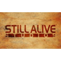 STILL ALIVE STUDIOS logo, STILL ALIVE STUDIOS contact details