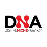 Digital Niche Agency logo, Digital Niche Agency contact details