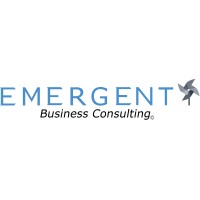 Emergent Business Consulting, LLC logo, Emergent Business Consulting, LLC contact details