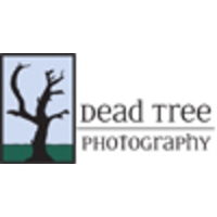 Dead Tree Photography logo, Dead Tree Photography contact details