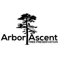 Arbor Ascent logo, Arbor Ascent contact details