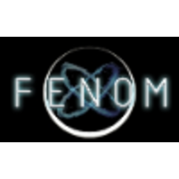 Fenom LLC logo, Fenom LLC contact details