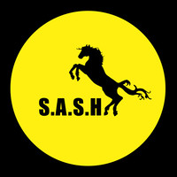 S.A.S.H logo, S.A.S.H contact details