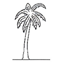 PALMTREE Funding logo, PALMTREE Funding contact details