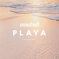 Seahsell PLAYA logo, Seahsell PLAYA contact details