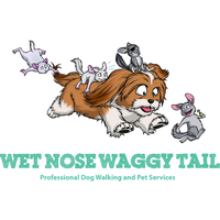 Wet Nose Waggy Tail logo, Wet Nose Waggy Tail contact details