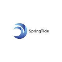 Springtide Consulting,                                           HR Consulting Entreprise logo, Springtide Consulting,                                           HR Consulting Entreprise contact details