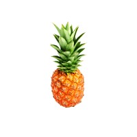 Pineapple Tours logo, Pineapple Tours contact details