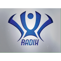 Radix Games logo, Radix Games contact details