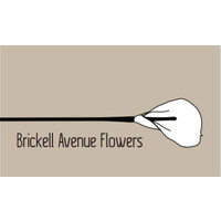 Brickell Avenue Flowers logo, Brickell Avenue Flowers contact details