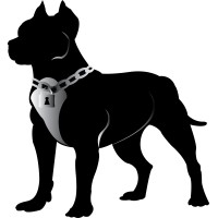 Pitt Bull Secure Technologies, Inc. logo, Pitt Bull Secure Technologies, Inc. contact details