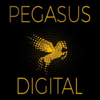 Pegasus Digital, LLC logo, Pegasus Digital, LLC contact details