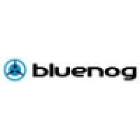 Bluenog Corp logo, Bluenog Corp contact details