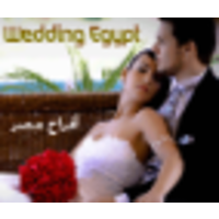 Wedding Egypt logo, Wedding Egypt contact details