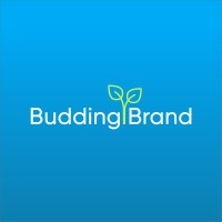 Budding Brand logo, Budding Brand contact details