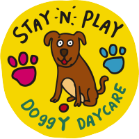 Stay N Play Doggy Daycare Ltd logo, Stay N Play Doggy Daycare Ltd contact details