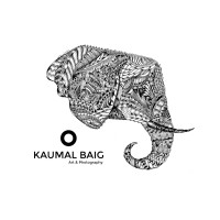 Kaumal Baig Art logo, Kaumal Baig Art contact details