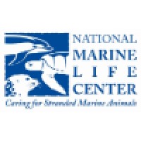 National Marine Life Center logo, National Marine Life Center contact details