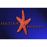 Seastar Hospitality Group logo, Seastar Hospitality Group contact details