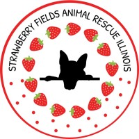 Strawberry Fields Animal Rescue Illinois logo, Strawberry Fields Animal Rescue Illinois contact details