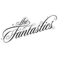 THE FANTASTICS LIMITED logo, THE FANTASTICS LIMITED contact details