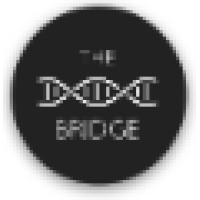 The Bridge London logo, The Bridge London contact details