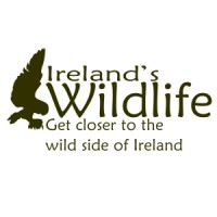 Ireland's Wildlife logo, Ireland's Wildlife contact details