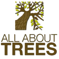 All About Trees (Ireland) logo, All About Trees (Ireland) contact details