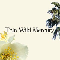 Thin Wild Mercury logo, Thin Wild Mercury contact details