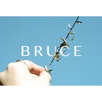 BRUCE logo, BRUCE contact details