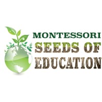 Montessori Seeds of Education logo, Montessori Seeds of Education contact details