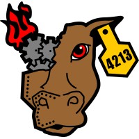 Metalcow Robotics - Team 4213 - FIRST Robotics logo, Metalcow Robotics - Team 4213 - FIRST Robotics contact details