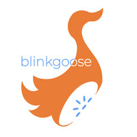 blinkgoose logo, blinkgoose contact details