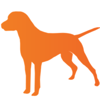 Curious Dog logo, Curious Dog contact details