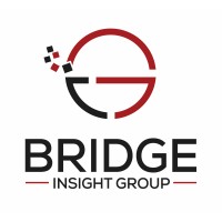 Bridge Insight Group, Inc. logo, Bridge Insight Group, Inc. contact details