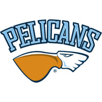 Lahden Pelicans Oy logo, Lahden Pelicans Oy contact details