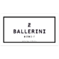 Z Ballerini logo, Z Ballerini contact details