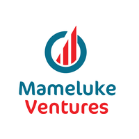 Mameluke Ventures, LLC logo, Mameluke Ventures, LLC contact details