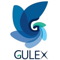 Gulexsolution logo, Gulexsolution contact details