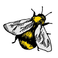 LearningBee logo, LearningBee contact details