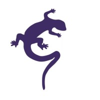 Geckoella Ltd logo, Geckoella Ltd contact details