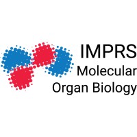 IMPRS for Molecular Organ Biology logo, IMPRS for Molecular Organ Biology contact details