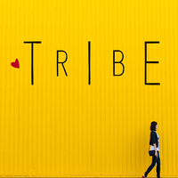 Tribe Coaching logo, Tribe Coaching contact details