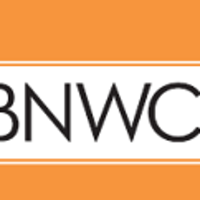 Brave New World Consulting, Inc. logo, Brave New World Consulting, Inc. contact details